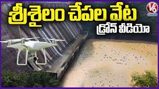 Drone Video: Hunting For Fishes In Srisailam Dam After Gates Closed | V6 News