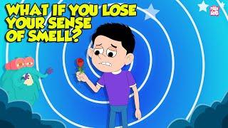 Can't Smell Anything? | What if You Lost Your Sense of Smell? | What is Anosmia? | Dr. Binocs Show