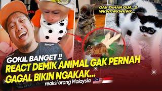  REACTION DEMIK ANIMAL - Nonton Ini Bikin Ngakak Parah!  |  Reaction