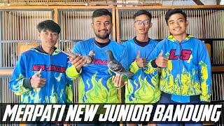 INDUKAN MERPATI BALAP NEW JUNIOR BANDUNG