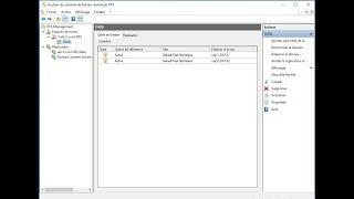 Système de fichiers distribués DFS sous Windows Server 2022