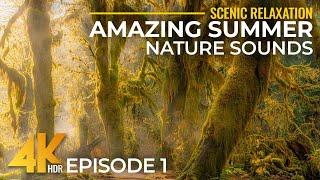 Discovering Earth's Most BREATHTAKING Summer Landscapes in 4K + Real Nature Sounds - Ep 1