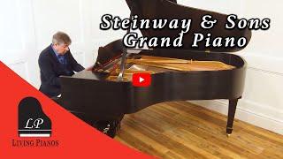 Hamburg Steinway & Sons Grand Piano - Living Pianos