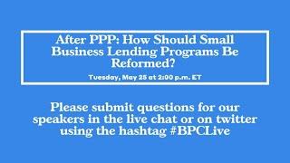 After PPP: How Should Small Business Lending Programs Be Reformed?