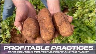 Profitable Practices: Planting cover crops with PEI potato grower Andrew Lawless