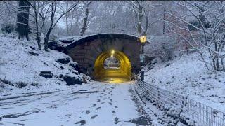 First Snow Fall in New York City, Central Park