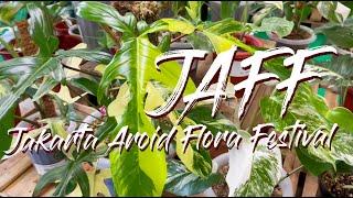 Jakarta Aroid Flora Festival (2021) Indonesia RARE Aroids Show