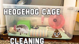 HEDGEHOG CAGE CLEANING!! what a mess!!!