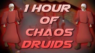 Slaying Chaos Druids | Testing OSRS Wiki Money Making Methods