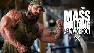 Mass Building Arm Workout