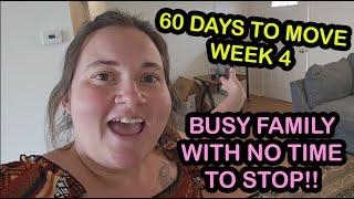 60 Days to Move Week 4! Getting Furniture in PLUS an Update on the Wildfire!