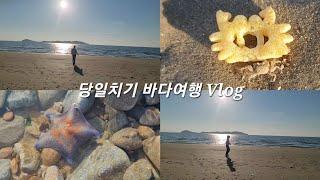 [커플여행] 당일치기 태안 바다 여행 VLOG (ft. 게와 꽃게랑이 마주쳤을 때)