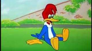 Woody Woodpecker in Wicket Wacky | A Walter Lantz Production