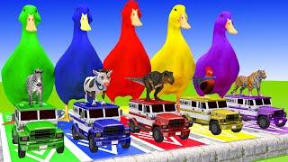 5 Giant Duck Cartoon Cow, Lion, T-Rex, Tiger, Zebra Paint Wild Animals Crossing Fountain Animation