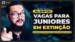 VAGAS PARA PROGRAMADORES JUNIORES - O MERCADO DE TRABALHO 