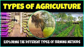 Different Types of Agriculture / Farming Methods - Exploring Sustainable Practices