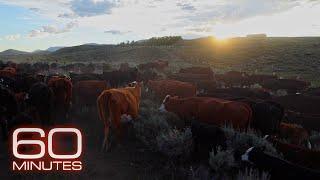 Riding along on the Green River Drift, the longest-running cattle drive left in America