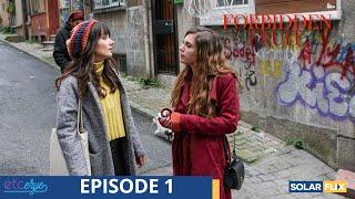 Forbidden Fruit Episode 1 | FULL EPISODE | TAGALOG DUB | Turkish Drama