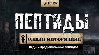 156. Пептиды | Общая информация (Химический бункер)