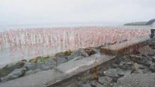 Spencer Tunick, Dublin Installation