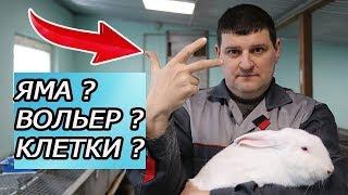 КАК СОДЕРЖАТЬ КРОЛИКОВ? 3 МЕТОДА НА ВЫБОР!!