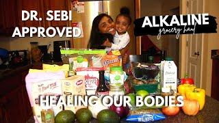 Dr. Sebi APPROVED Alkaline Plant Based Grocery Haul | BEGINNER Friendly VEGAN Starter Kit 