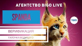 Зачем проходить Верификацию в BIGO LIVE? Аутентификация. Галочка ведущего в Биго Лайф. Дарим Samsung