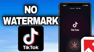 How to download TikTok video without watermark in 2024 (Step by Step)