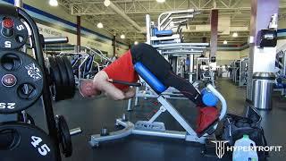 45 Degree Back Raise