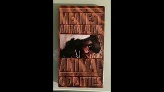 Time Life Animal Oddities: The Meanest Animal Alive (Honey Badger Full Documentary 1995)