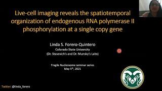 Linda Forero-Quintero: "Live-cell imaging reveals the spatiotemporal organization of endogenous..."