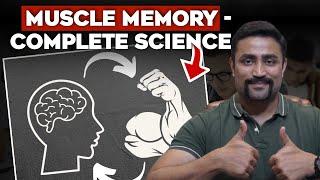 Why do You Regain your Muscle Mass Faster After a Break?? - Muscle Memory Explained