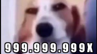 sus dog 999x Speed meme