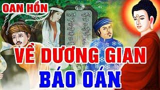 Chuyện Nhân Quả Báo Ứng, KHIẾP SỢ! Những VONG HỒN VỀ DƯƠNG GIAN BÁO OÁN - Luật Nhân Quả Không Bỏ Sót