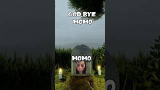 Adeus Momo 