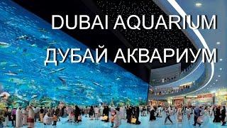 ДУБАЙ DUBAI MALL  САМЫЙ БОЛЬШОЙ АКВАРИУМ В МИРЕ DUBAI MALL AQUARIUM