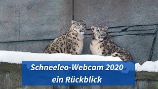 Best-Of Schneeleo-Webcam 2020