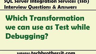 SQL Server Integration Services (SSIS) - Which Transformation we can use as Test while Debugging