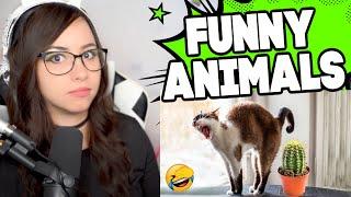 Bunnymon REACTS to Funny Animal Videos 2022 