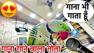 गाना भी गाता है ये तोता  बोलता भी है| #talkingparrot #bolnewalatota #animallover #petslover #birds