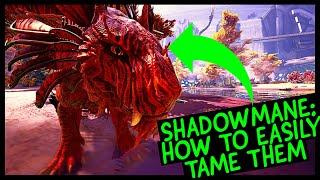 SHADOWMANE EASY TAMING TRICK!!!!