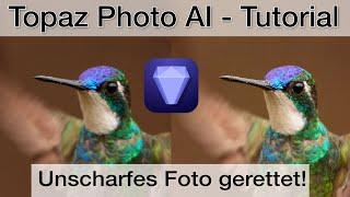 Photo AI 2 REVIEW - Hat Topaz mit DXO aufgeholt? Vergleich mit DXO und Lightroom