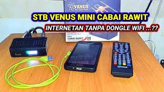 Cara pasang dongle hp ke STB VENUS MINI CABE RAWIT Internetan Tanpa Dongle Wifi di Set Top Box