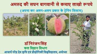 Guava Cultivation I HDP I Dr. Niranjan Singh I #horticulture #agriculture #farming #ayodhya
