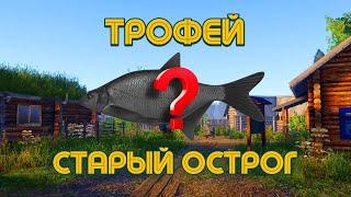 Точки на Леща, оз. Старый Острог (2 точки)