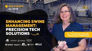 Dr. Tami Brown-Brandl: Precision Swine Management | Ep. 206