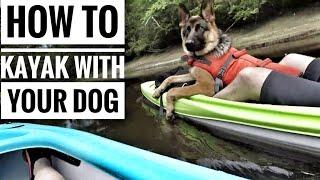 How To Kayak With Your Dog top tips