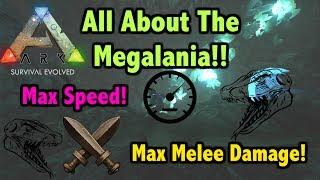 Ark Insight!! - Megalania!!