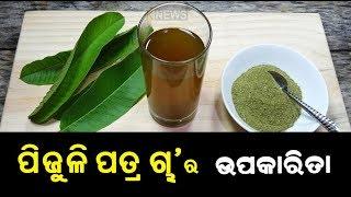 ଓଜନ ବୃଦ୍ଧି ଏବଂ ଡାଇବେଟିସକୁ ଦୂର କରେ ପିଜୁଳି ପତ୍ର ଚା’ ଜାଣନ୍ତୁ କେମତି ? || Knews Odisha