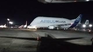 Airbus Beluga movement at Kolkata International Airport #airbusbeluga #airbus #kolkataairport